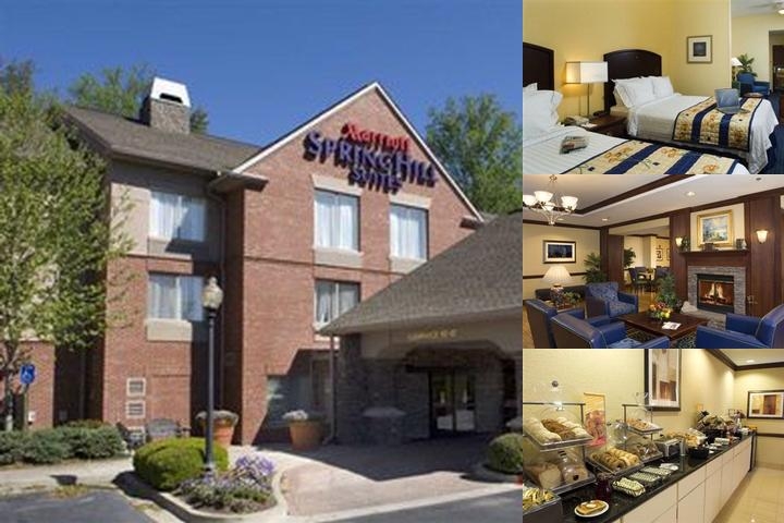 Springhill Suites Atlanta Alpharetta photo collage