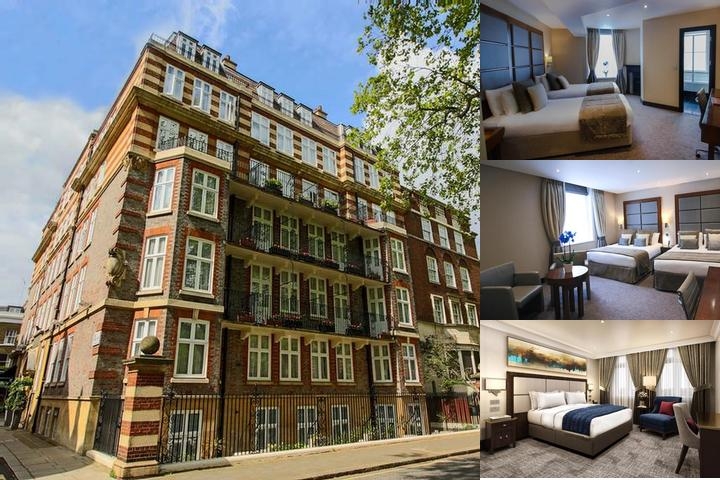 Rochester Hotel by Blue Orchid|rochester Hotel photo collage