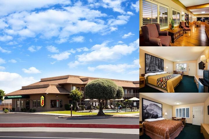 Super 8 by Wyndham Lindsay Olive Tree photo collage