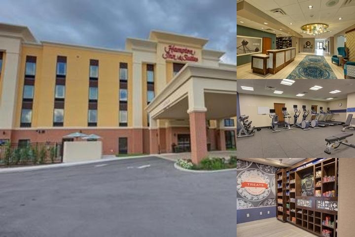 Hampton Inn & Suites Tampa Busch Gardens Area photo collage