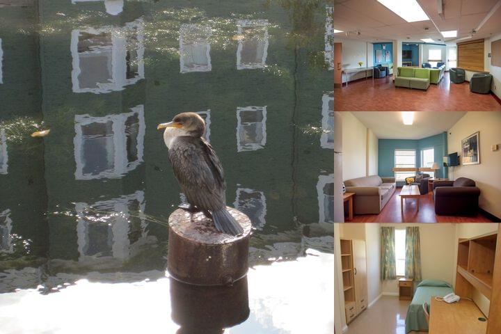 Mount Saint Vincent University photo collage