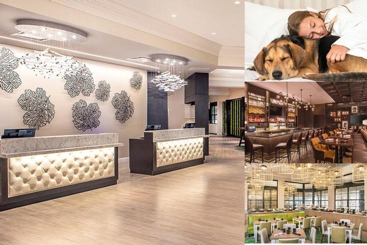 Hilton Wilmington / Christiana photo collage