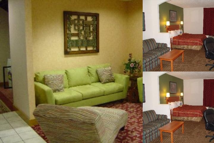 Super 8 by Wyndham Fort Worth South photo collage