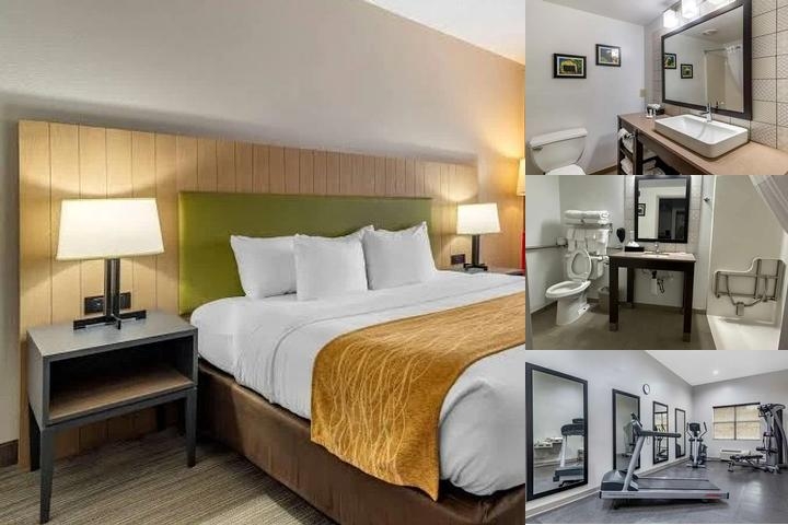Comfort Inn & Suites Cartersville Emerson Lake Point photo collage