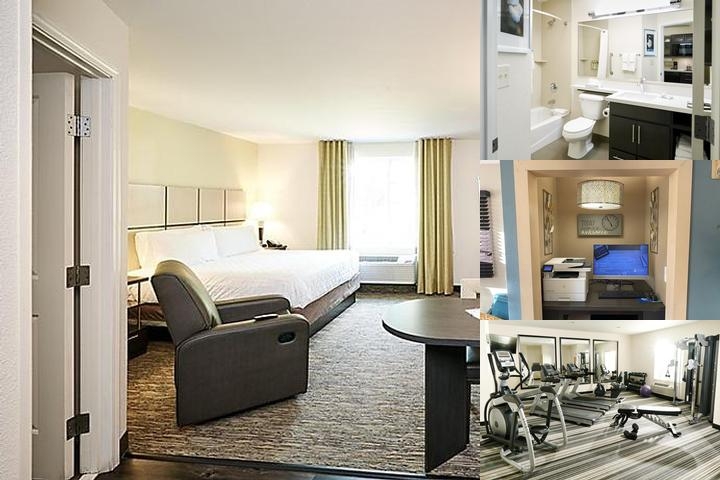 Sonesta Simply Suites Houston W Beltway photo collage