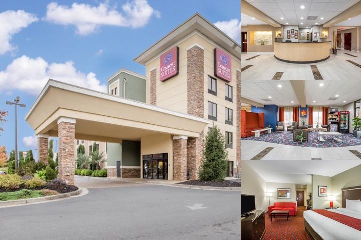 Comfort Suites Locust Grove Atlanta South photo collage