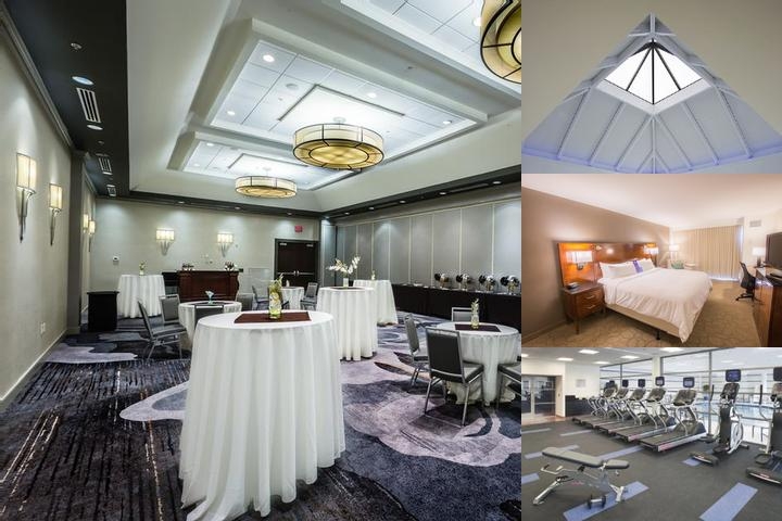 Delta Hotels by Marriott Chesapeake Norfolk photo collage