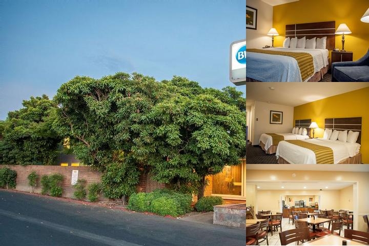 Best Western Village Inn photo collage