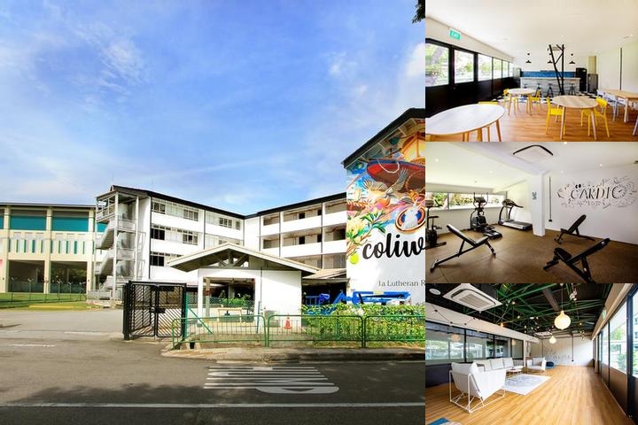 Coliwoo at Lutheran photo collage