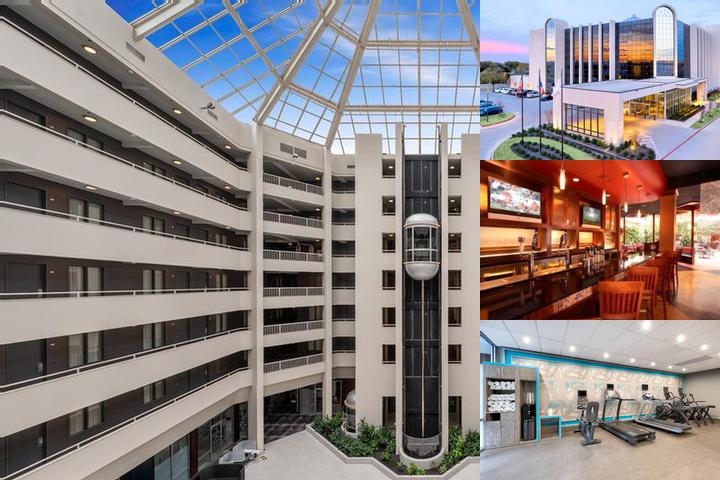 The Arlin, a Tribute Portfolio Hotel by Marriott photo collage