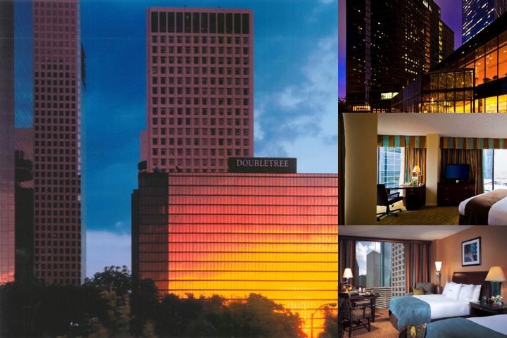 C. Baldwin Curio Collection by Hilton photo collage