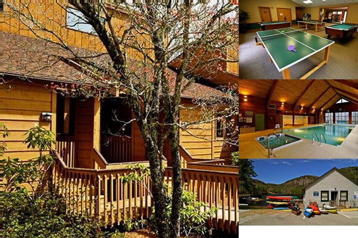 Fairway Forest by Coolvacay photo collage