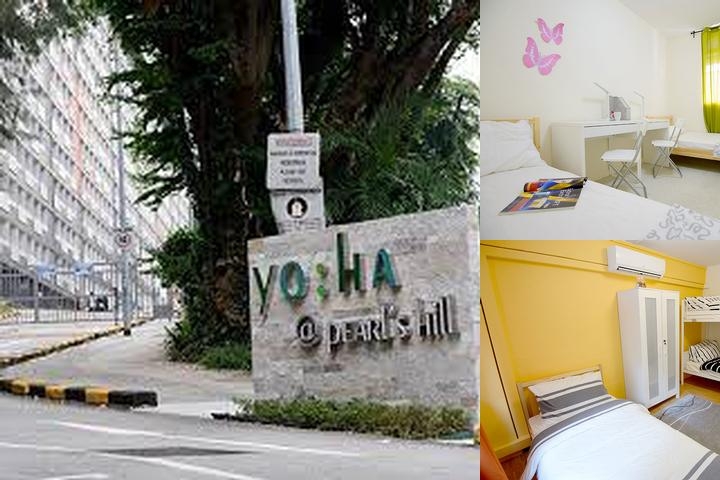 Yo:ha at Pearl’s Hill photo collage