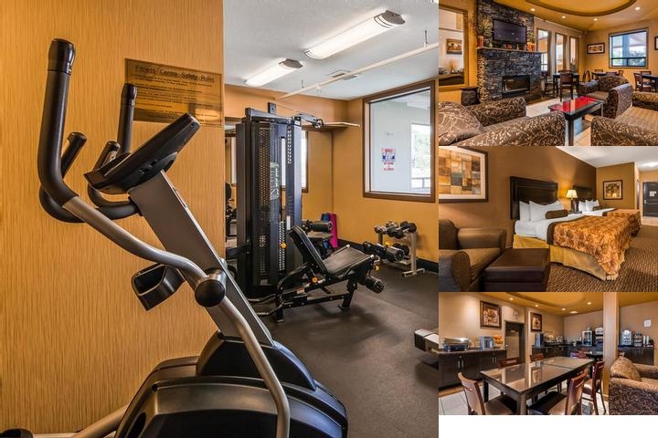 Best Western Estevan Inn & Suites photo collage