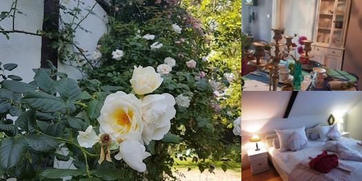Hilton Garden Inn Pineville photo collage