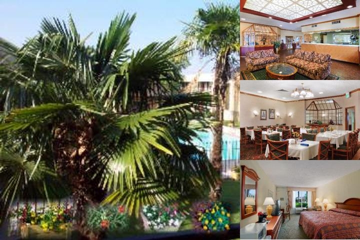 Motel 6 Natchitoches, LA photo collage