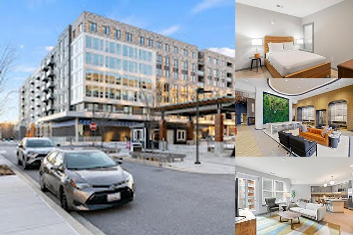 Whyhotel by Placemakr Columbia Closed photo collage