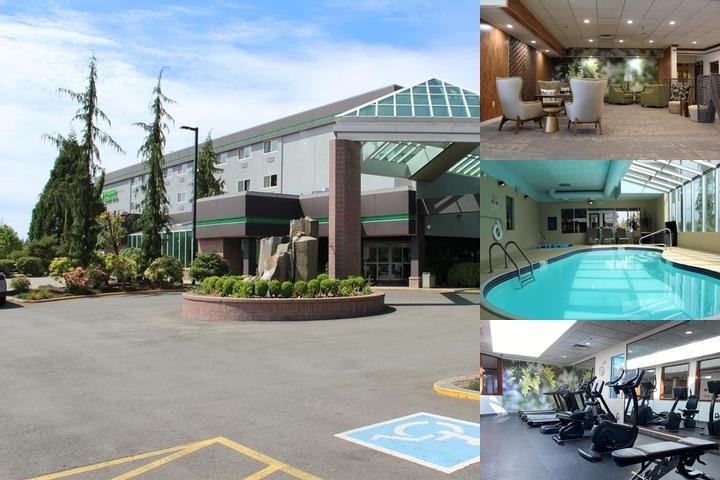 Medallion Inn & Suites photo collage