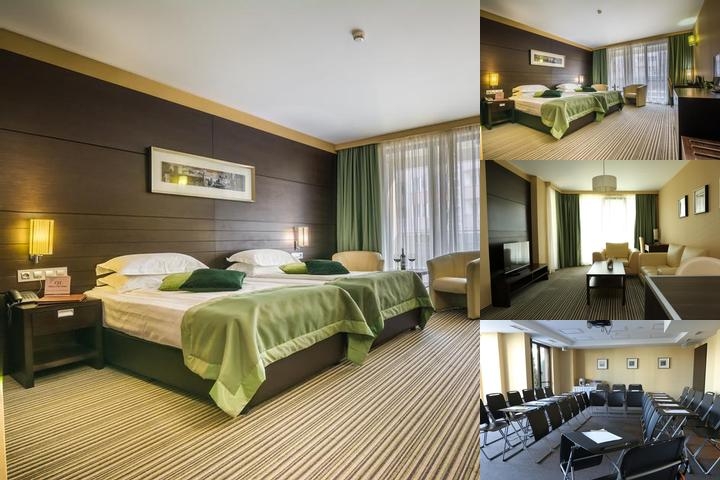 Best Western Plus Olives City Hotel photo collage