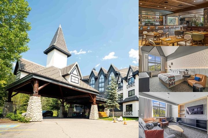 Everwild Canmore photo collage