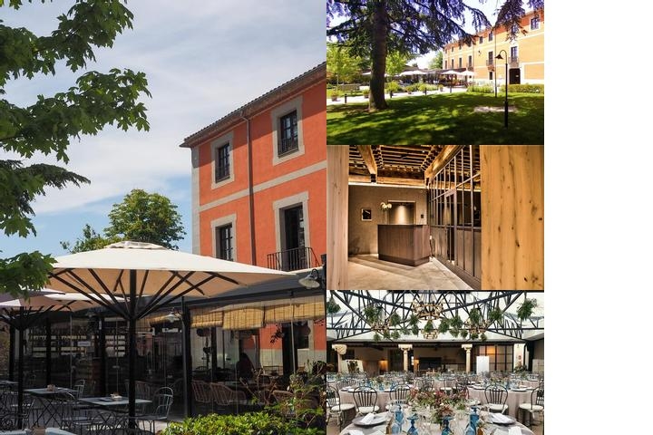 Sofraga Palacio photo collage