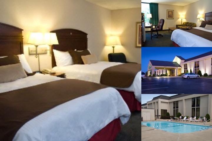 Greenstay photo collage