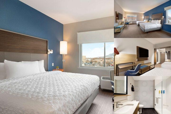 TRU by Hilton Ogden photo collage
