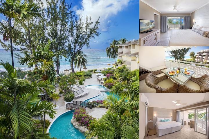 Bougainvillea Barbados photo collage