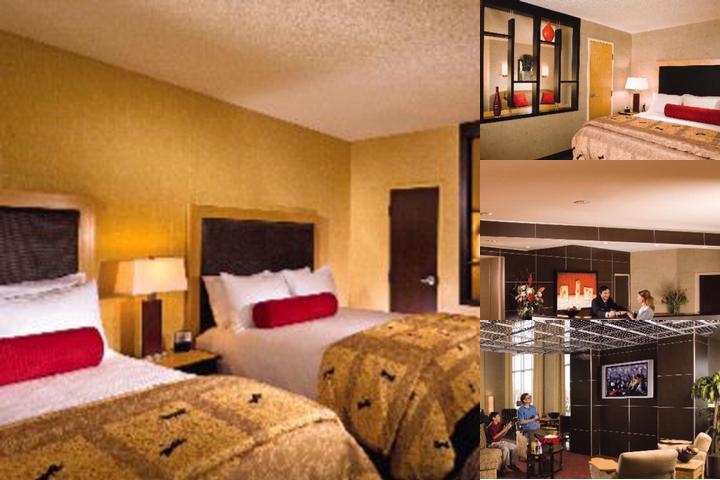 Cambria Hotel Denver International Airport photo collage