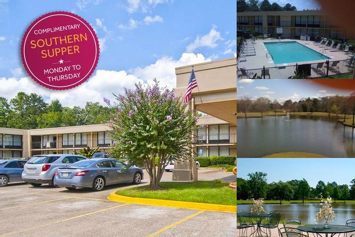 Hotel Francis photo collage