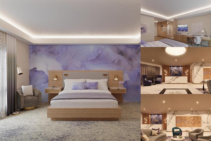 Iris Hotel Boston photo collage