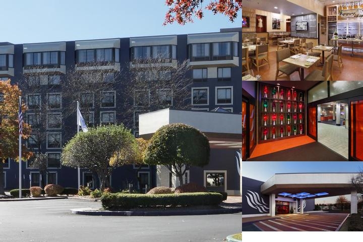 The Verve Hotel Tapestry Collection by Hilton photo collage