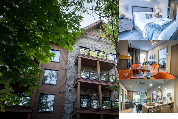 Chateau Morritt photo collage