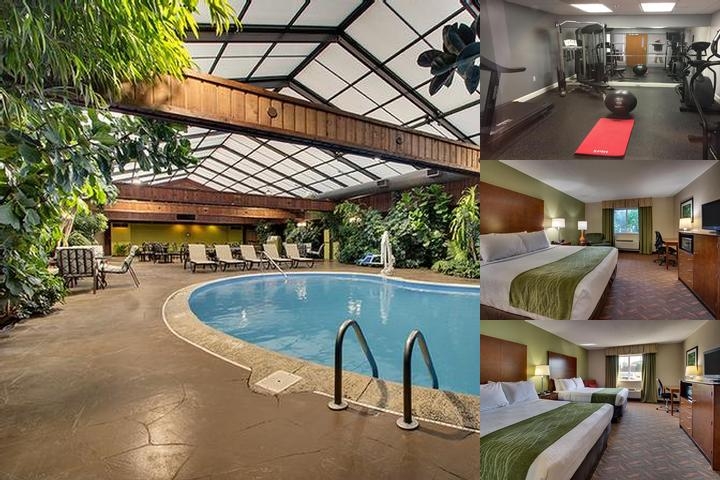 Wingfield Inn & Suites photo collage