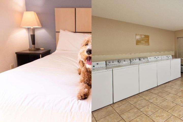 Sonesta Simply Suites Denver West Federal Center photo collage