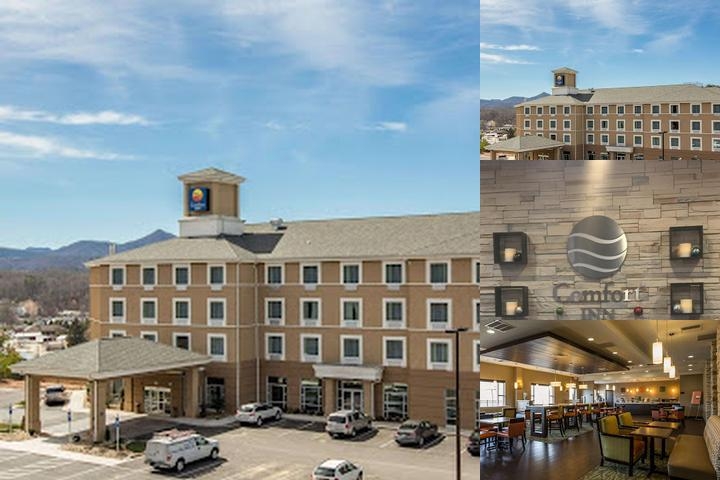Comfort Inn Sylva photo collage