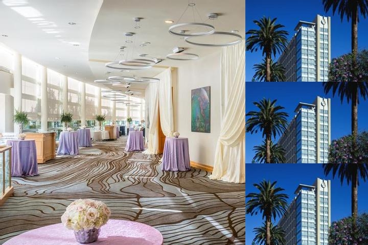 San Jose Marriott photo collage