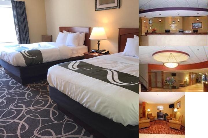Quality Hotel & Suites photo collage