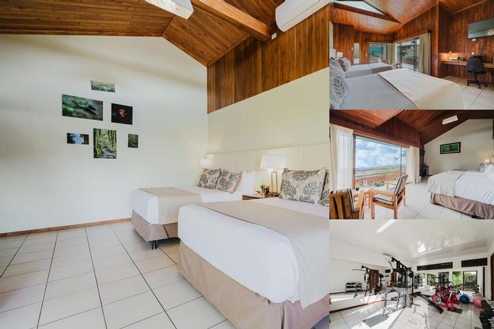 Ficus Sunset Suites photo collage