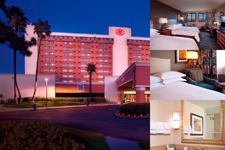 Hilton Concord photo collage