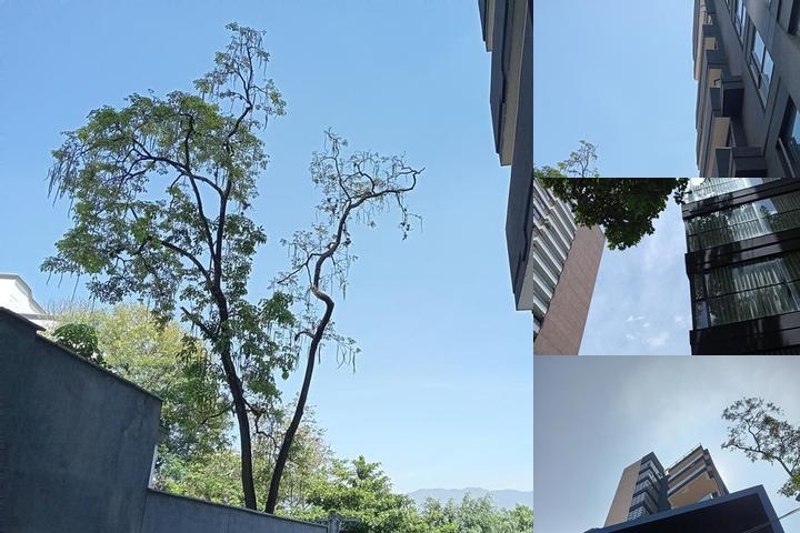 Hotel Rulay photo collage