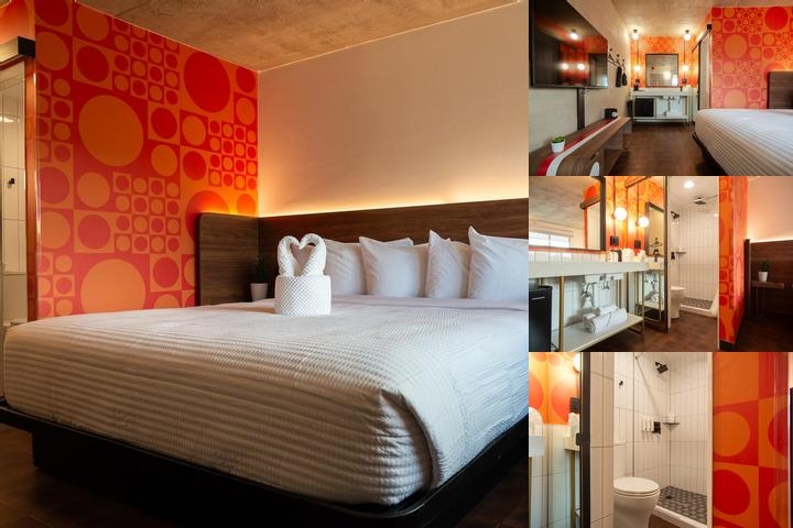 The Alice Hotel photo collage