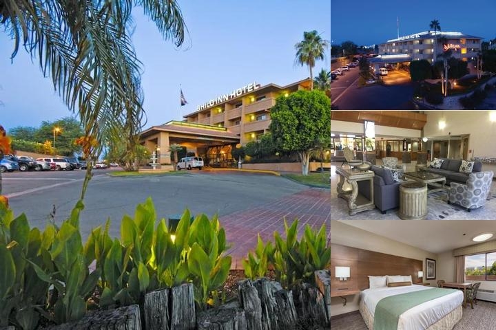Shilo Inns Yuma photo collage