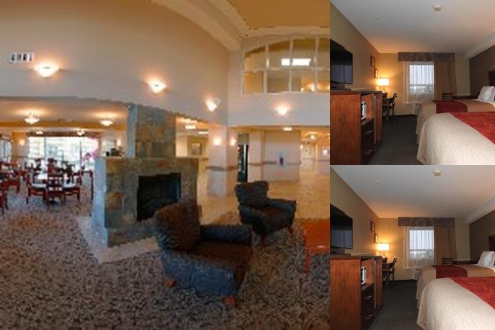 Comfort Inn & Suites photo collage