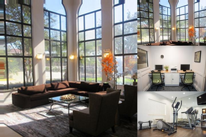 Best Western Champions Forest Inn and Suites photo collage