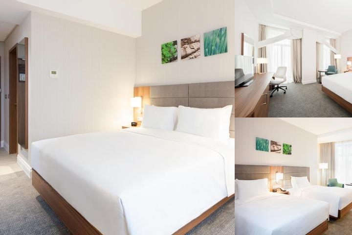 Hilton Garden Inn Bucharest Old Town photo collage