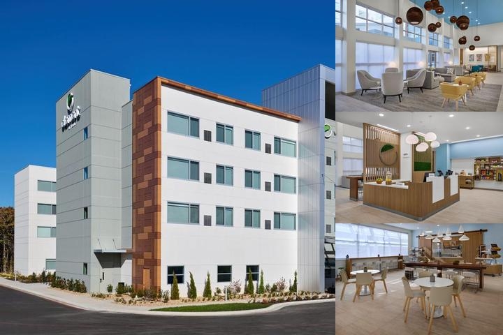 Element Branson photo collage