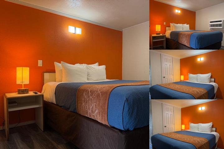 Ponca Motel photo collage