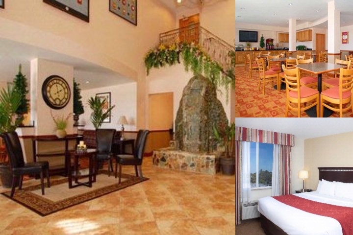 Comfort Suites Tampa Airport North photo collage