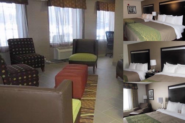 Comfort Inn Painesville photo collage